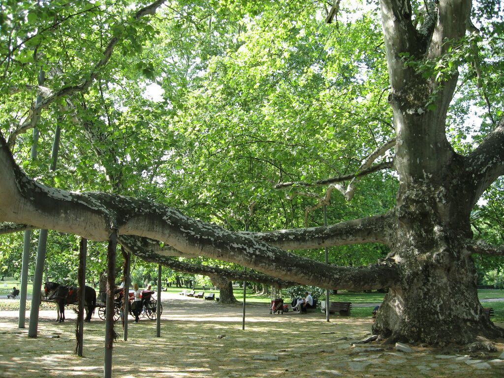 Beograd Topcider Konak Kneza Milosa
